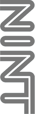nint logo